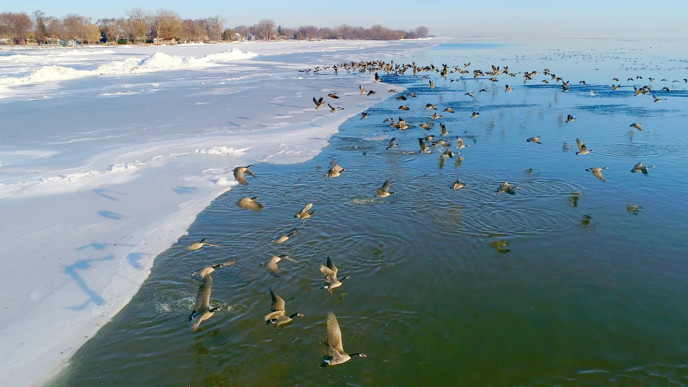 Practice Ice Safety On All Waterbodies This Winter | Wisconsin DNR